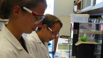 Homepage Image 1